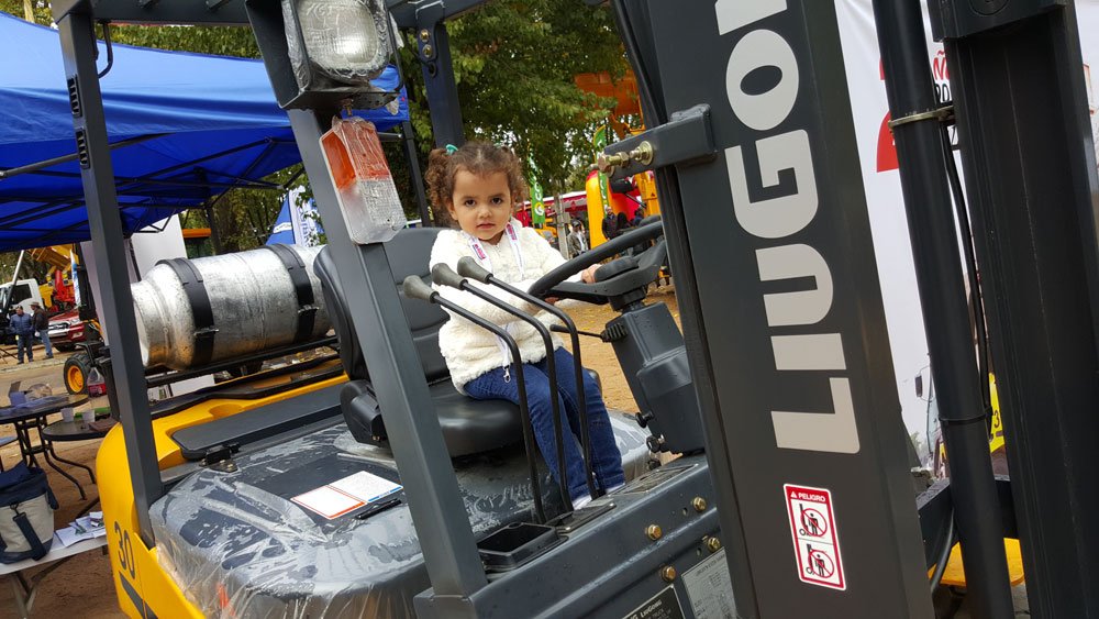 IFT Agro 2016 Fullen Chile (1)